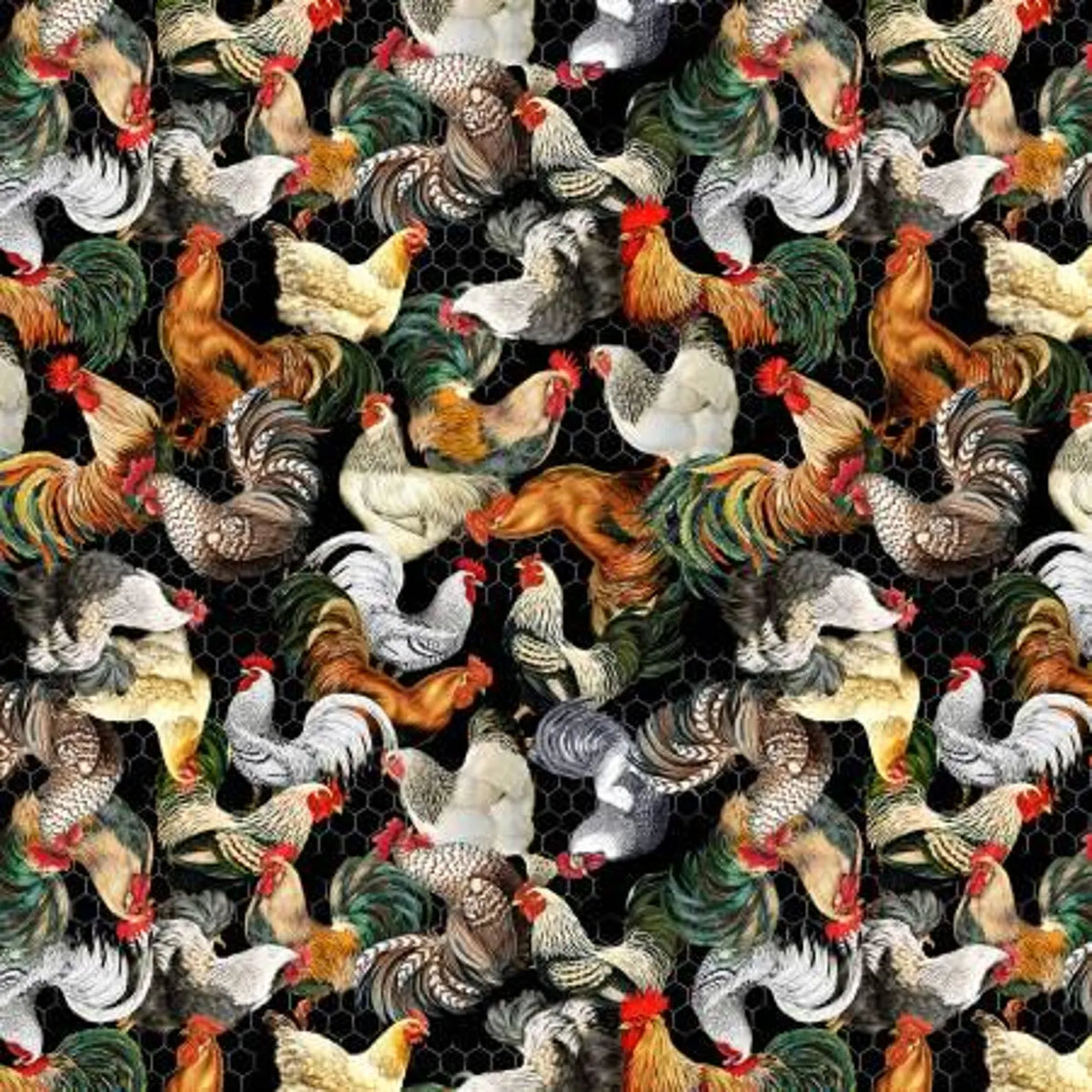 17. Michael Miller - Early to Rise - Poultry In Motion/Tossed Chicken/Black - DCX12074-MULT-D