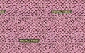 Print Concepts - Real Tree-Logo-Mesh/Pink - 9960