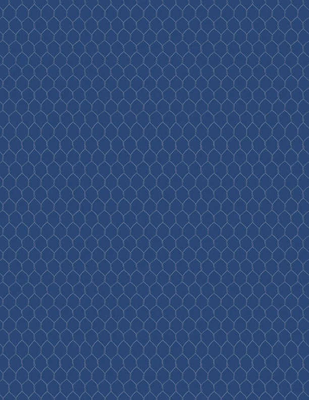 21. Wilmington - Morning Serenade - Chicken Wire/Blue - 39870-444